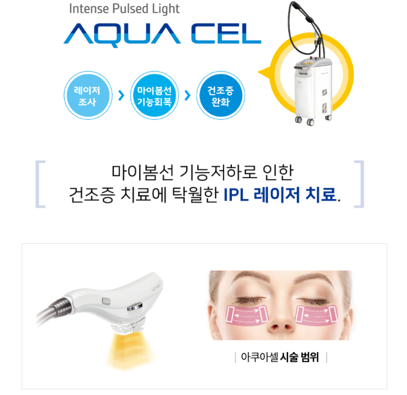 의사