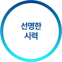 선명한시력