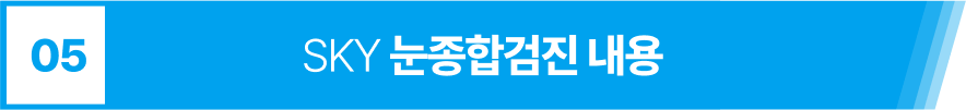 SKY 눈종합검진 내용
