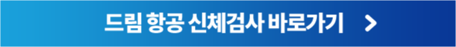 드림 항공