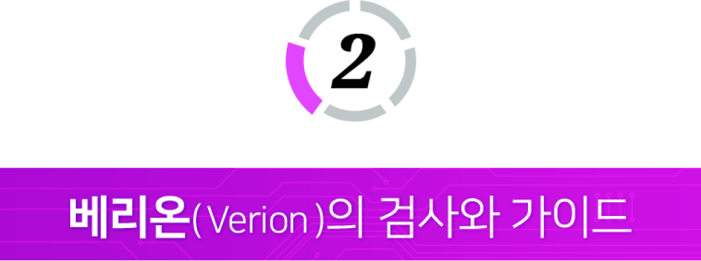 베리온의 검사와 가이드