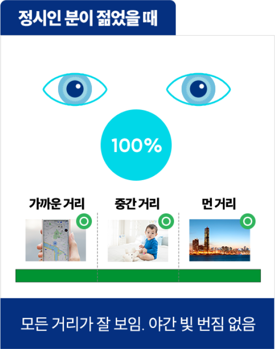 정시인 분이 젊었을때 