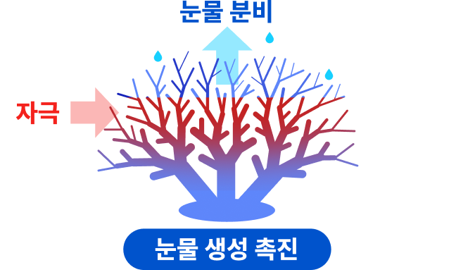 눈물 생성 촉진